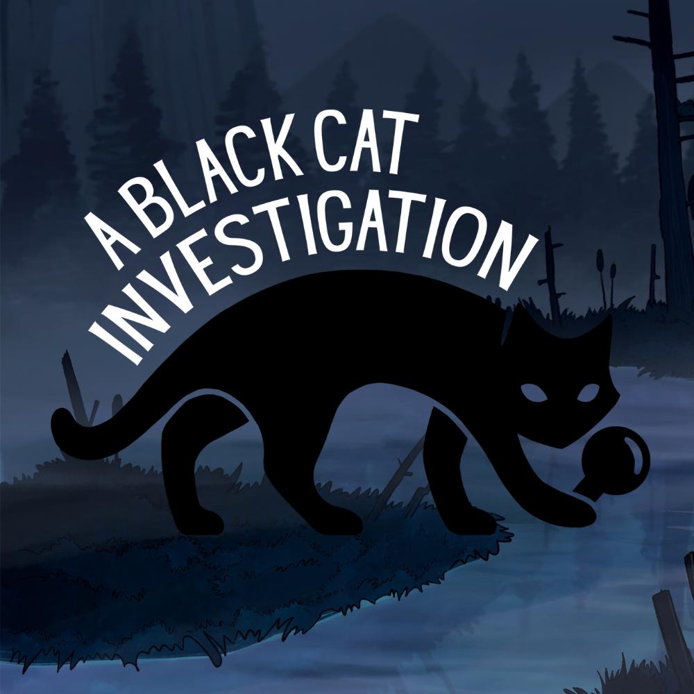 A Black Cat Investigation